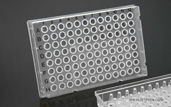 PCR